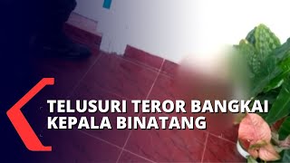 Teror Kepala Hewan di Rumah Kasi Penkum Kejati Riau, 2 Pelaku Teridentifikasi