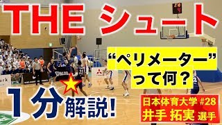 【バスケ★シュート】日本体育大学★井手拓実選手〜1分解説〜(#もりもり部屋 ☆大学バスケ)