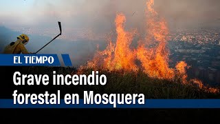 Incendio forestal en Mosquera alertó a los ciudadanos | El Tiempo