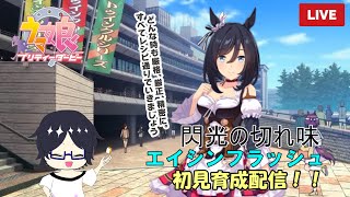 【ウマ娘】エイシンフラッシュをはじめて育成していく！【Yukiちゃんねる】