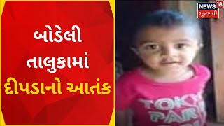 Chhotaudepur News : બોડેલી તાલુકામાં દીપડાનો આતંક |  Gujarati News| News18 Gujarati