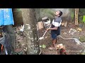 ഒരു അയിനി മുറിക്കുന്നത് കാണാം 🥰 ayini tree cutting in kerala village woodpecker