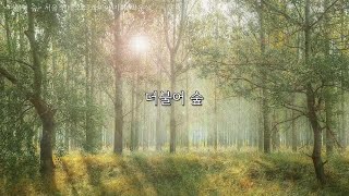 더불어 숲 - 서울 엔테오스 콰이어