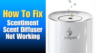 Scentiment Scent Diffuser Not Working - How To Reset
