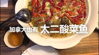 【临时约饭】没错，加拿大温哥华也有太二酸菜鱼