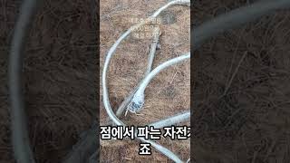 예초후 선떨림 없애는 꿀팁