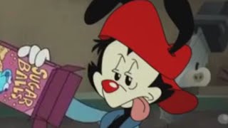 Just another goofy animaniacs episode filled with silly jokes