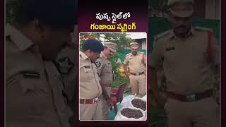 పుష్ప స్టైల్ లో  స్మగ్లింగ్ #apnews #alluridistrict #shorts #viralnews #viralvideo