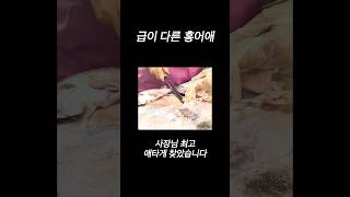 홍어애 먹기 진짜 힘드네. 드디어 찾은 홍어애 #홍어애 #홍어회