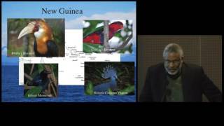 Evolution and Conservation of Island Birds - Lessons from Genomics