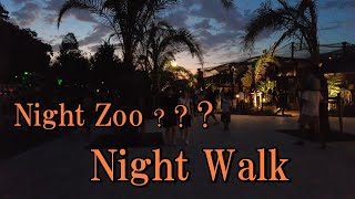 🌴 夏の夜って最高‼ 🌠　名古屋市東山動物園