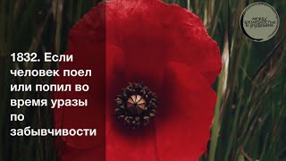 Если человек поел или попил во время уразы по забывчивости / Шарх Булуг иль-марам