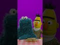 how to eat a cookie with cookie monster and bert sesamestreet