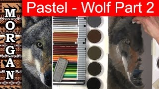 Drawing a Wolf in Pastels - part 2 : how to draw fur - jason morgan wildlife art