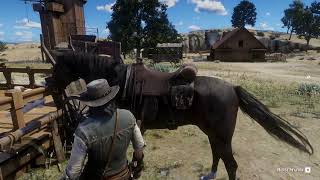 RDR2: Natural Philosophy Mode Session #2