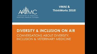 Diversity and Inclusion on Air: VMAE & ThinkWorks 2018