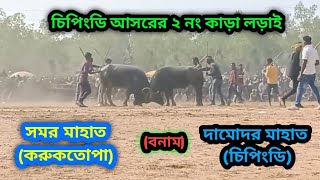 চিপিংডি আসরের 2নং কাড়া লড়াই। ( samar mahato vs damudor mahato )| Chipindih 2no kara larai