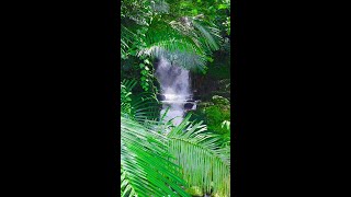 മാങ്കുളം വന്നാൽ 33 മിസ് ചെയ്യരുതേ | 33 Waterfall Mankulam Anakulam #trending #shorts #youtubeshorts