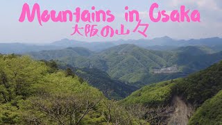 The High Mountains of Osaka/ 妙見の森