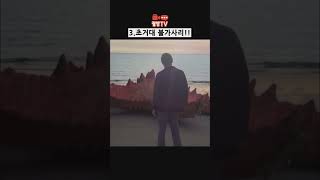 재능기부) 놀라운 CG그래픽  TOP4