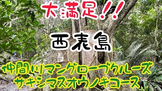 【西表島観光】仲間川マングローブクルーズ~サキシマスオウノキコース~で大満足！