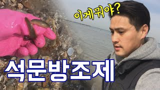 국민 해루질 포인트 석문방조제에 다녀왔습니다! 지금은 뭐가 있을까?