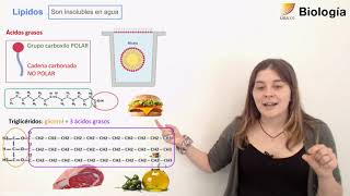 13-Biología.Lípidos