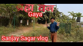 # Vlog of Brahma Van Gaya