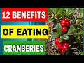 Cranberry🍒 12 Health benefits of cranberry everyday