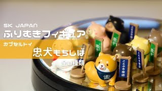 SK JAPAN  カプセルトイ 轉蛋 扭蛋 忠犬 麻糬柴犬 回眸公仔 全8種 開箱