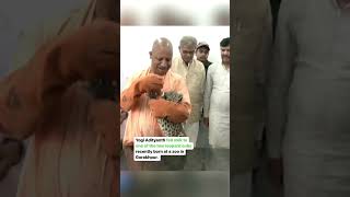 Uttar Pradesh Chief Minister Yogi Adityanath spent a memorable day with the big cats of Gorakhpur.