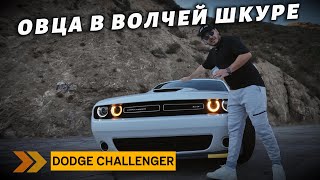 ОВЦА В ВОЛЧЕЙ ШКУРЕ! ВНЕШНОСТЬ ОБМАНЧИВА! ПОСЛЕДНИЙ DODGE CHALLENGER!