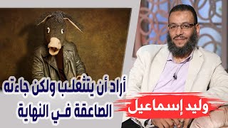 وليد إسماعيل | الحلقة 217 |  أراد أن يتثعلب ولكن جاءته الصاعقة في النهاية 🤣🤣 !!