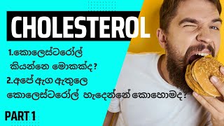 කොලෙස්ටරෝල් යනු කුමක්ද ? | අපි කන කොලෙස්ටරෝල් වලට වෙනද #cholesterol #cholestérol #kolesterol