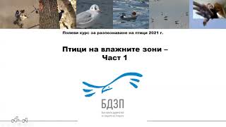 Курс за наблюдение на птици -София II – Водолюбиви птици   част І