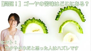 【問題！】ゴーヤの苦味はどこにある？ヒント：ワタやタネだと思った人はハズレです