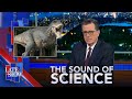 The Sound Of Science: Teen Rex Discovered | Bugs Live On Your Face | Floor Time For Better Health