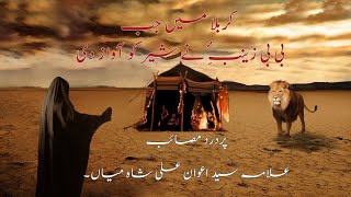 Karbala mai BiBi Zainab a.s ny Sher ko q Bulaya. Dilsoz musayeb by Allama Syed Awan Ali Shah mian