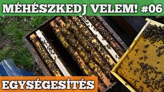 Méhészkedj velem #06 - A méhcsaládok kiegyenlítése