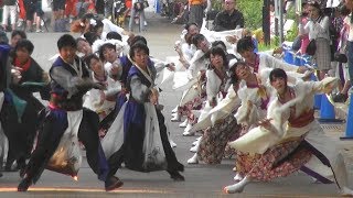 百物語　2018　大妖〜八岐九尾の鎮魂歌〜　第12回　よさこい祭り in 光が丘　2018　イチョウ並木