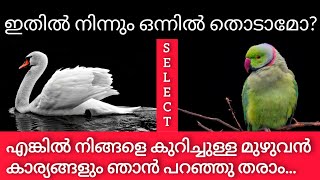 നിങ്ങളെ പറ്റി ഞാൻ പറഞ്ഞുതരട്ടെ മുഴുവൻ കാര്യങ്ങളും?