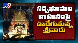 TTD Brahmotsavalu : సర్వభూపాల వాహనం పై ఊరేగుతున్న శ్రీవారు..! - TV9