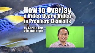 How to Overlay a Video Over a Video | Adobe Premiere Elements Training #12 | VIDEOLANE.COM