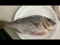 how to cook pinkie snapper easy snapper recipe catch and cook