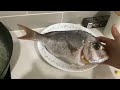 how to cook pinkie snapper easy snapper recipe catch and cook