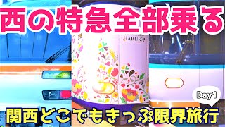 【限界旅行】関西どこでもきっぷで乗れる特急、全車両乗る。【はるか】【500系】【オーシャンアロー】【その他大勢】