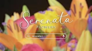 Send Happiness with Serenata Flowers