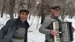 Uyghur classic song - Hayat bolsang | Accordion (English Subtitles)