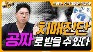 치매 진단 공짜로 받는 방법! 신경외과 전문의가 알려 드림!  | 신경외과 전문채널 NO.1 우리동네 신경외과