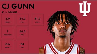 CJ Gunn - Indiana - 2023-24 Transfer Portal Highlights